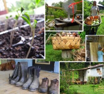 Rainy Day Homesteading Image